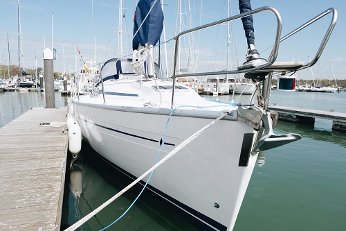 Appaloosa Bavaria 36